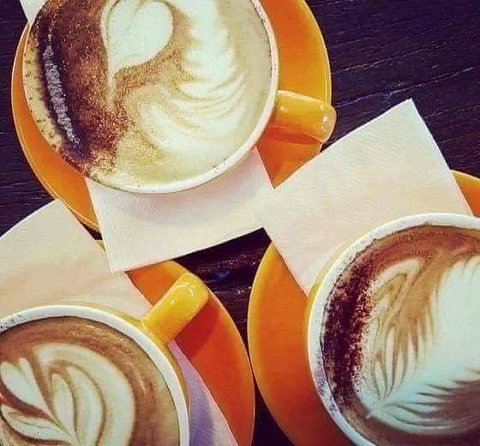 Nautilus - Travel Search 38