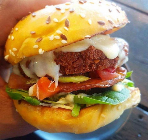 Nautilus - Travel Search 40