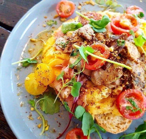 Nautilus - Travel Search 44