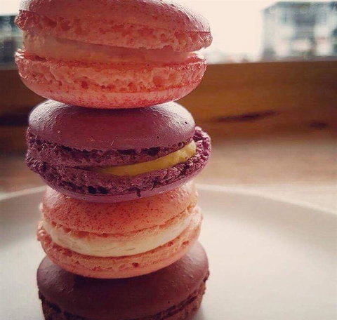 Nautilus - Travel Search 4