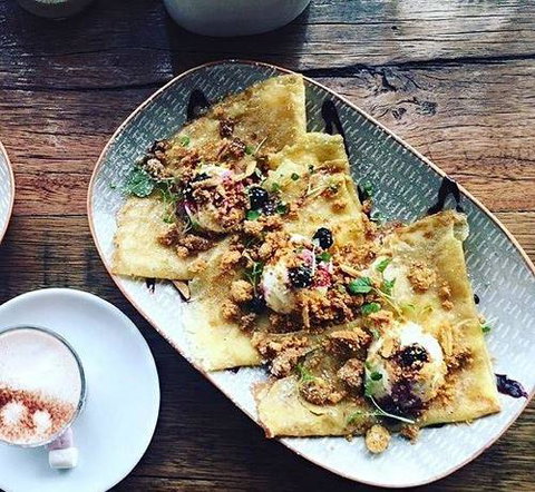 Nautilus - Travel Search 50