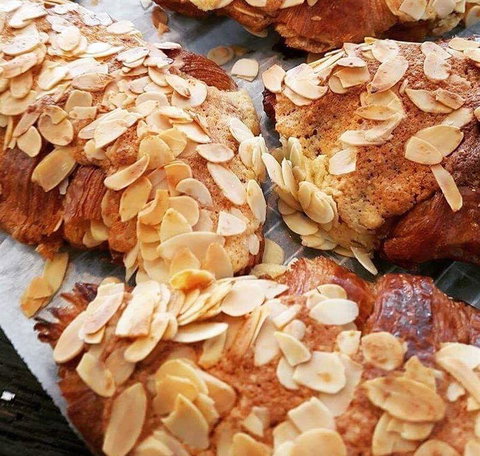 Nautilus - Travel Search 5