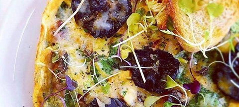 Nautilus - Travel Search 60