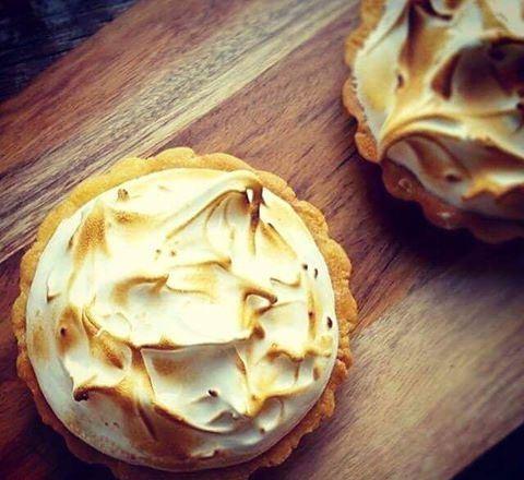 Nautilus - Travel Search 62