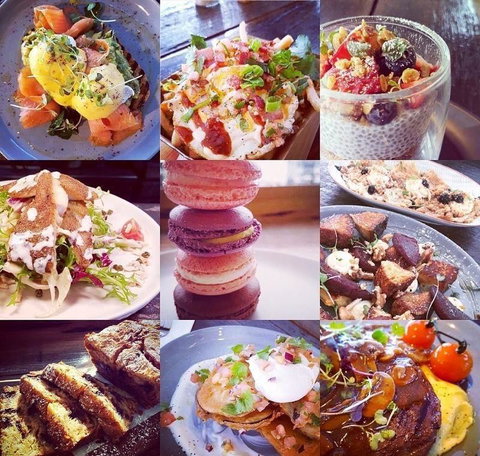 Nautilus - Travel Search 7