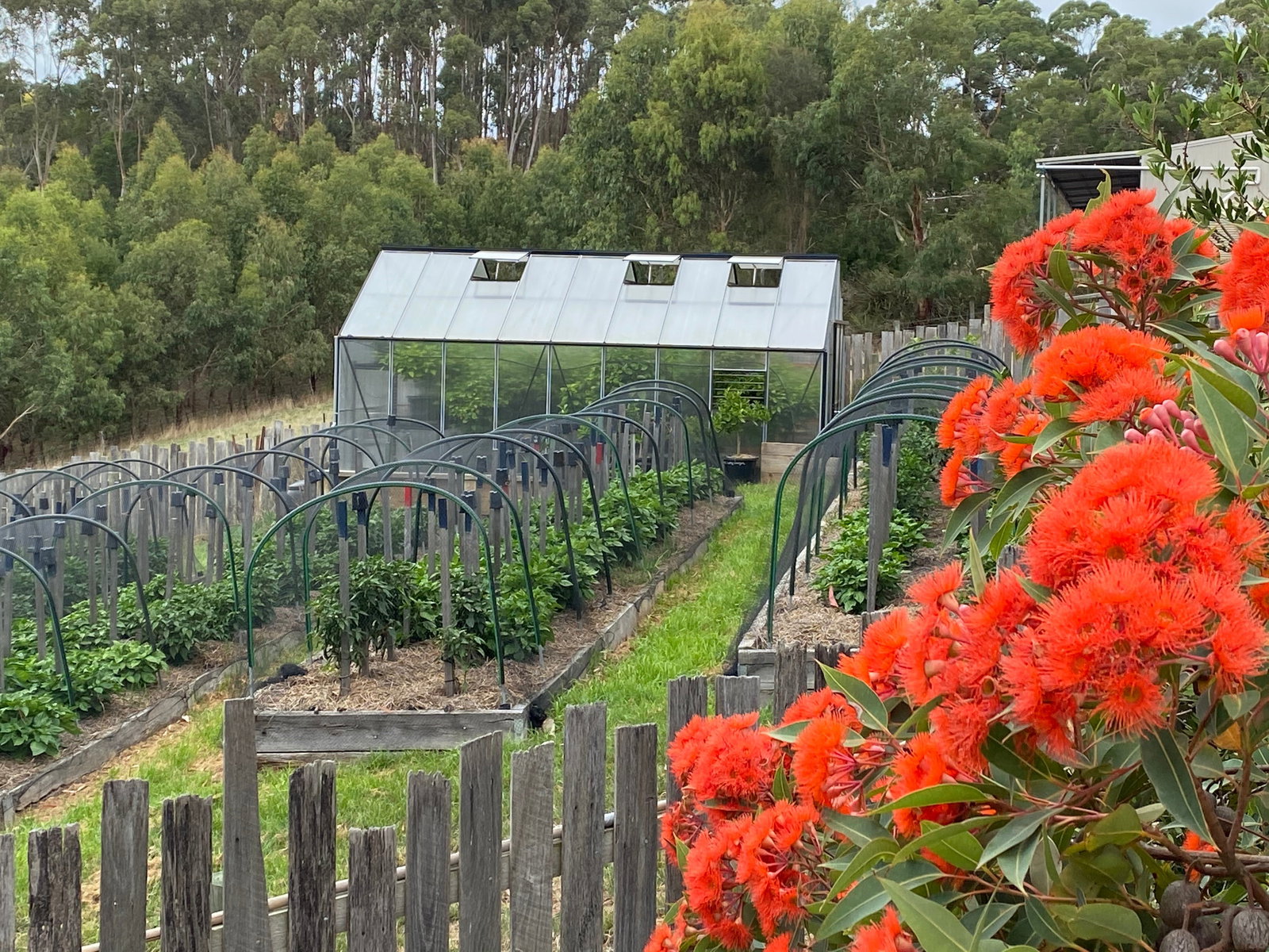 Boonah VIC Travel Agents