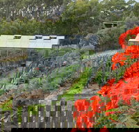 Hot Chilli Mama - Travel Agents