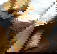 Kunara Organic Cafe - Tourism Guide