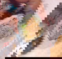 La Porchetta Colac - Colac - Tourism Guide