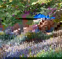 Macquariedale Organic Wines - Cruises Travel