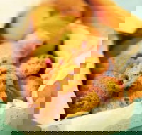 Mrs. Fields - Ringwood - Travel Agents