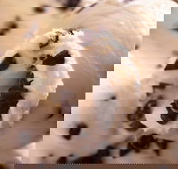 Royal Copenhagen Ice Cream - Glebe - Travel Agents