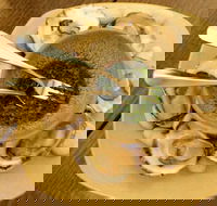 The Cottage Scone - Travel Agents