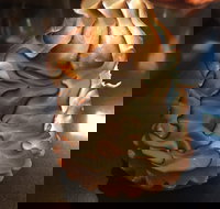 Mocha Bella - Travel Search