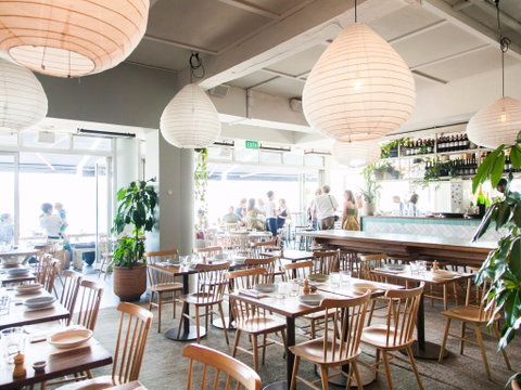 North Bondi Fish - Tourism Guide 1