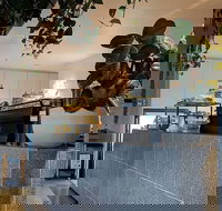 Pinkie - Tourism Guide