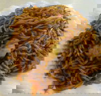 Bento Box - Travel Search