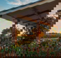 Caf in the Vines - Tourism Guide