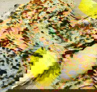 Gozleme King - Blacktown - Travel Agents