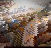 Pompadours Chocolate House - Travel Agents