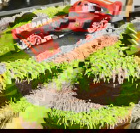 Runaway Cupcakes - Travel Agents