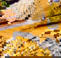 Little Bad Wolf - Tourism Guide