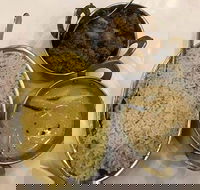 Nawab Sahab Restaurant - Tarneit - Travel Search