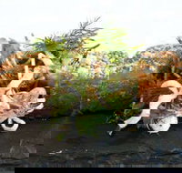 Pasfields Restaurant  Bar Deck - Travel Agents