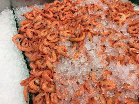 Pearly Oyster Bar And Farm - Cruises Travel 1