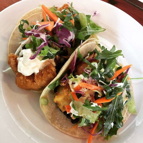 South Beach Tacos - Cruises Travel 0