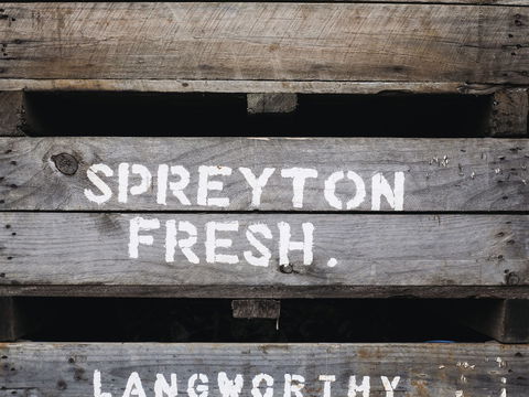 Spreyton Cider Co. - Tourism Guide 0