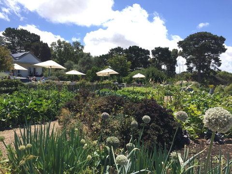 Basils Farm - Tourism Guide 2