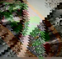 Kapela Fish and Chips - Travel Search