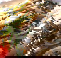 Merimbula Wharf - Travel Agents