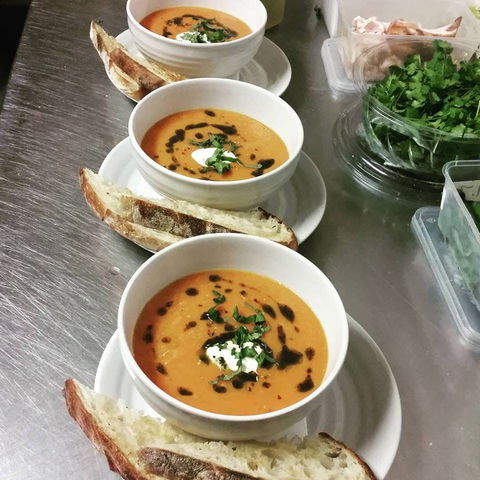 Sisco Bcl - Travel Search 0