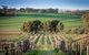 Heritage Wines - thumb 0