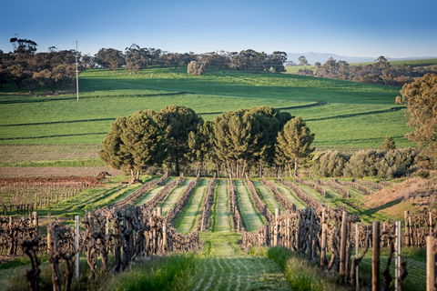 Heritage Wines - Cruises Travel 0
