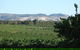 Heritage Wines - thumb 1