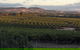 Heritage Wines - thumb 2