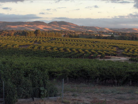 Heritage Wines - Cruises Travel 2