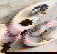 Gelatissimo - Artarmon - Travel Agents