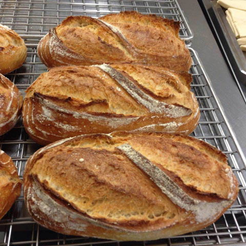 Harvest Boulangerie Patisserie - Travel Search 0