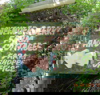 Lavender and Berry Farm Cafe - Travel Agents