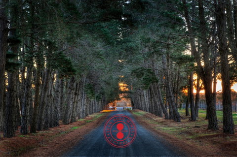 Eden Road Wines - Tourism Guide 1