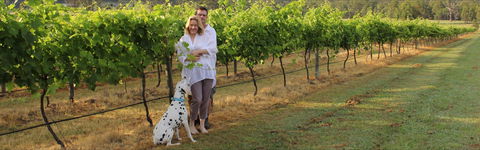 Greenway Wines - Travel Agents 1