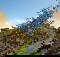 Ruddenklau Wines - Cruises Travel