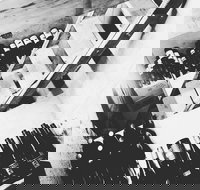 The Cordial Bar - Travel Agents