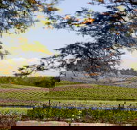Wynwood Estate - Cruises Travel