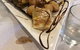 Ellas Greek Cafe Restaurant - thumb 0