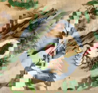 Nasi Society - Travel Search